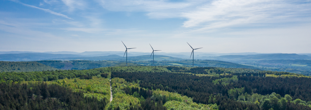 Sustainability
