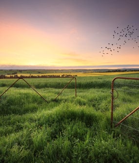 Rural Management
