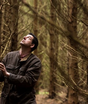 Forestry