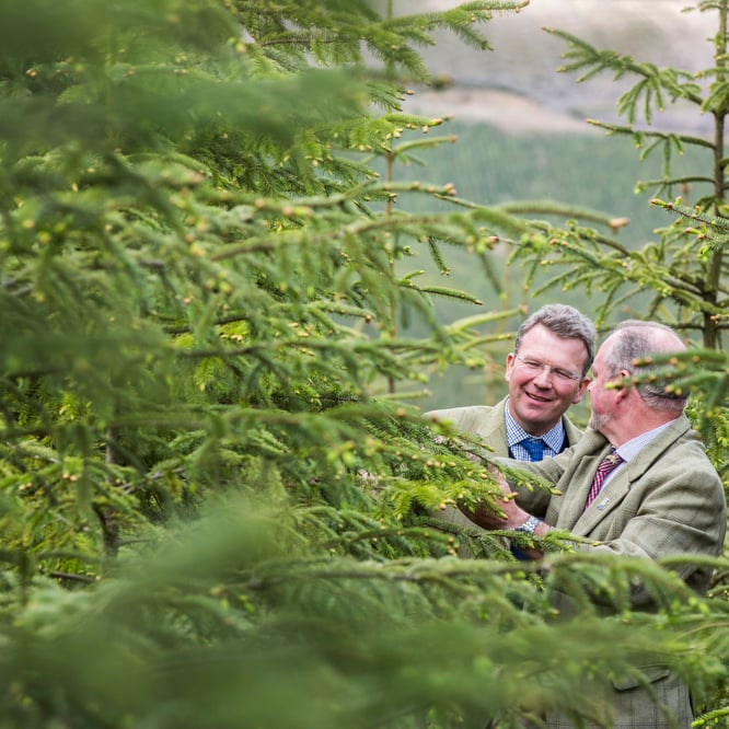Bidwells_FORESTY_7