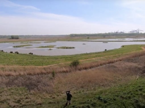 Bidwells Biodiversity for developers picture