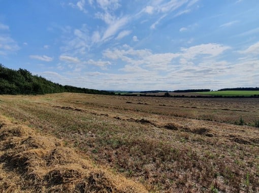 Lower Valley Farm