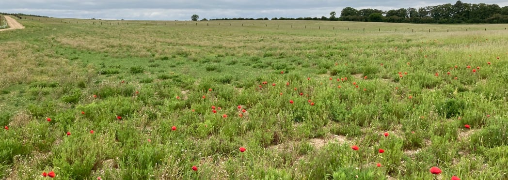 Image of Lower Valley Farm