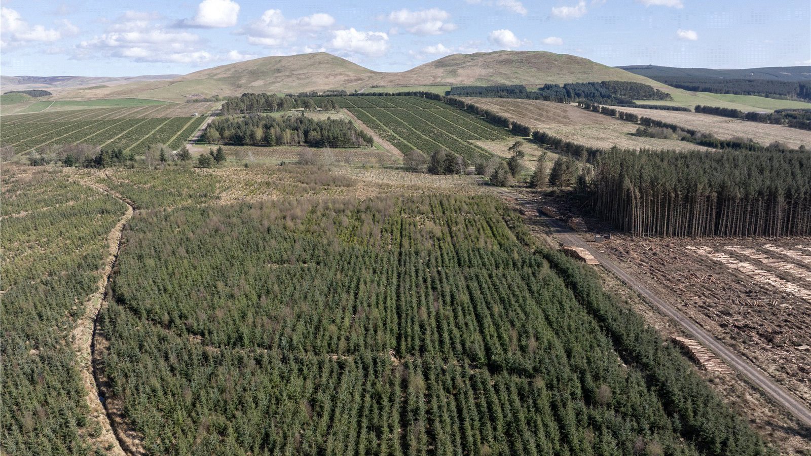Drone Image