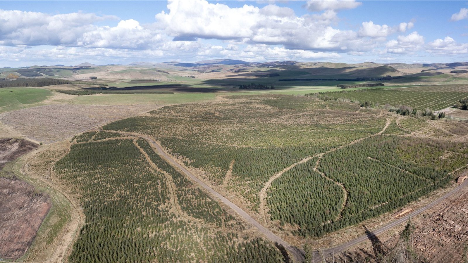 Drone Image