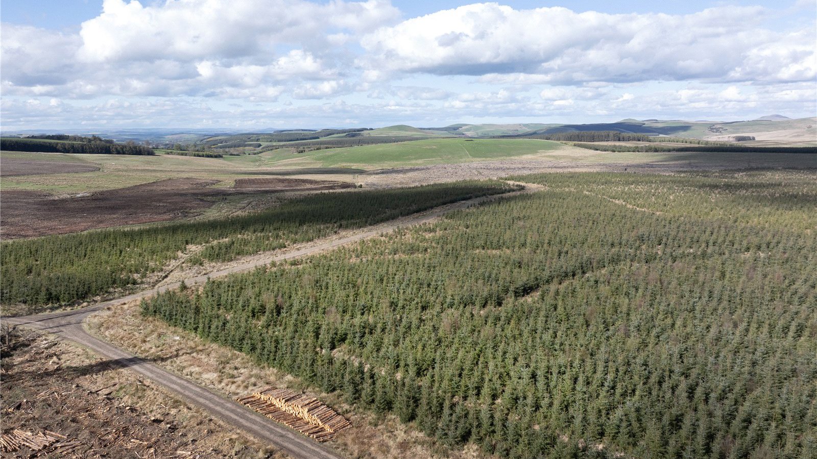 Drone Image