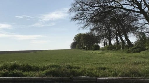 Summerhouse farm