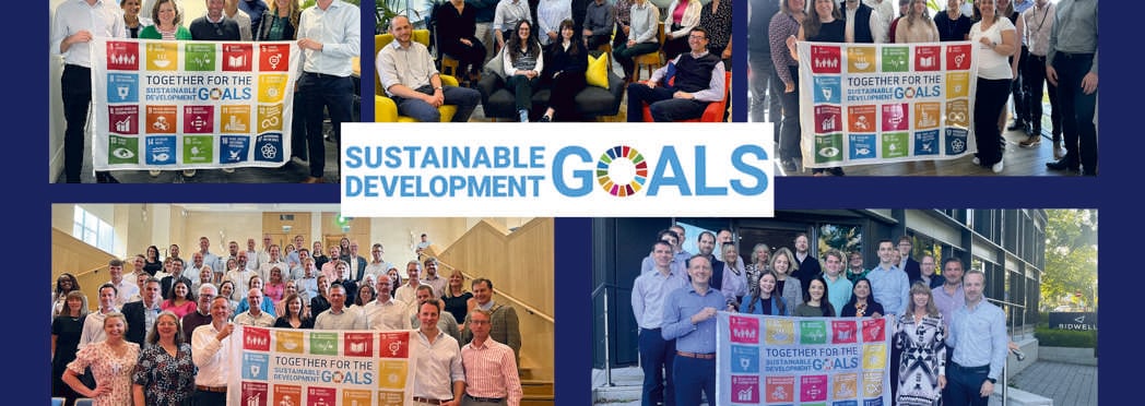 SDG Social graphic